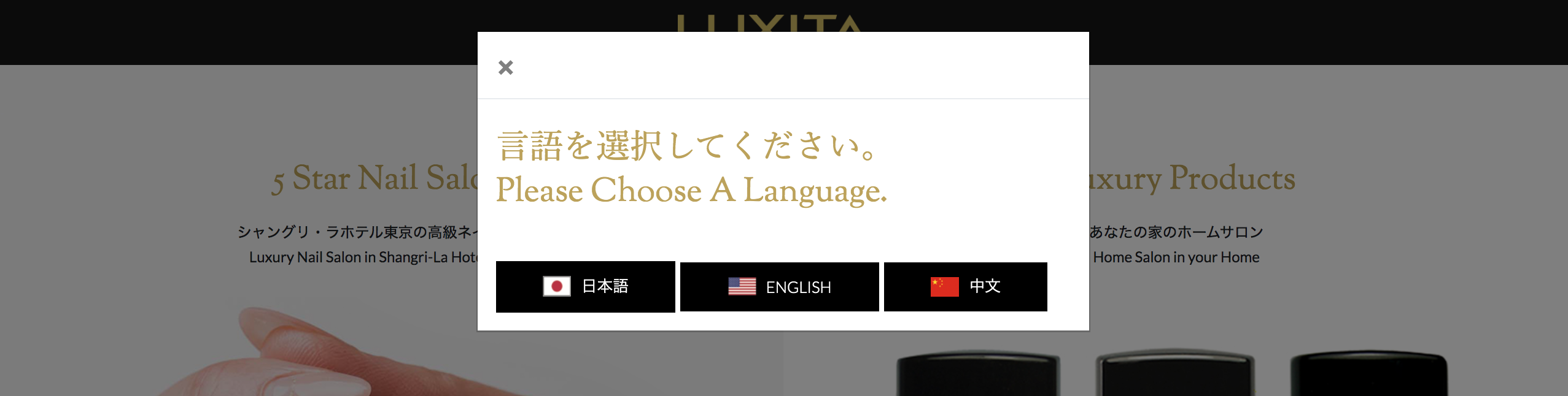 Home page language picker. Choices English, Japanese & Chinese. 言語を選択してください。Please Choose A Language