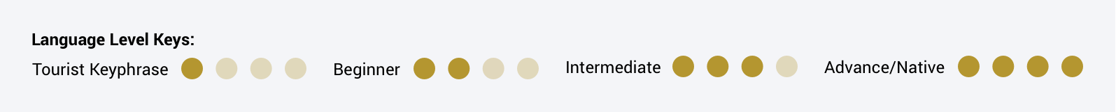 Persona Language Level Key. UI & UX research and design by Katherine Delorme.