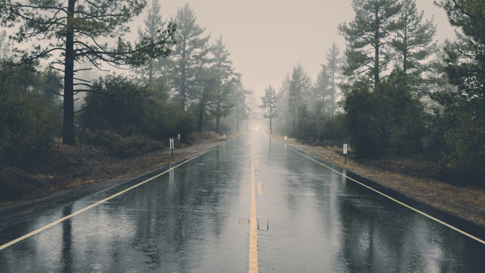A wet road with and forest on the sides